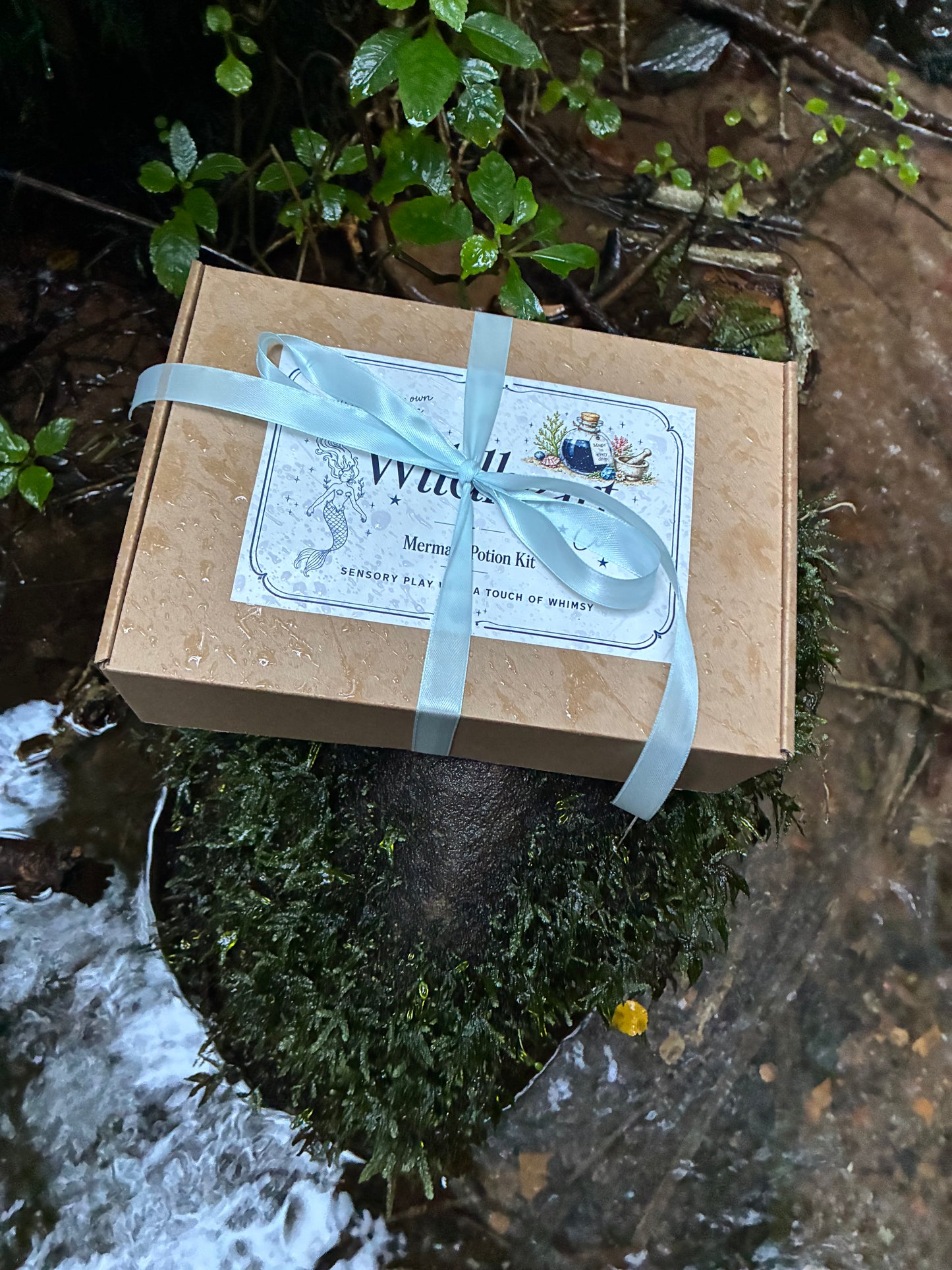 Mermaid Potion Kit