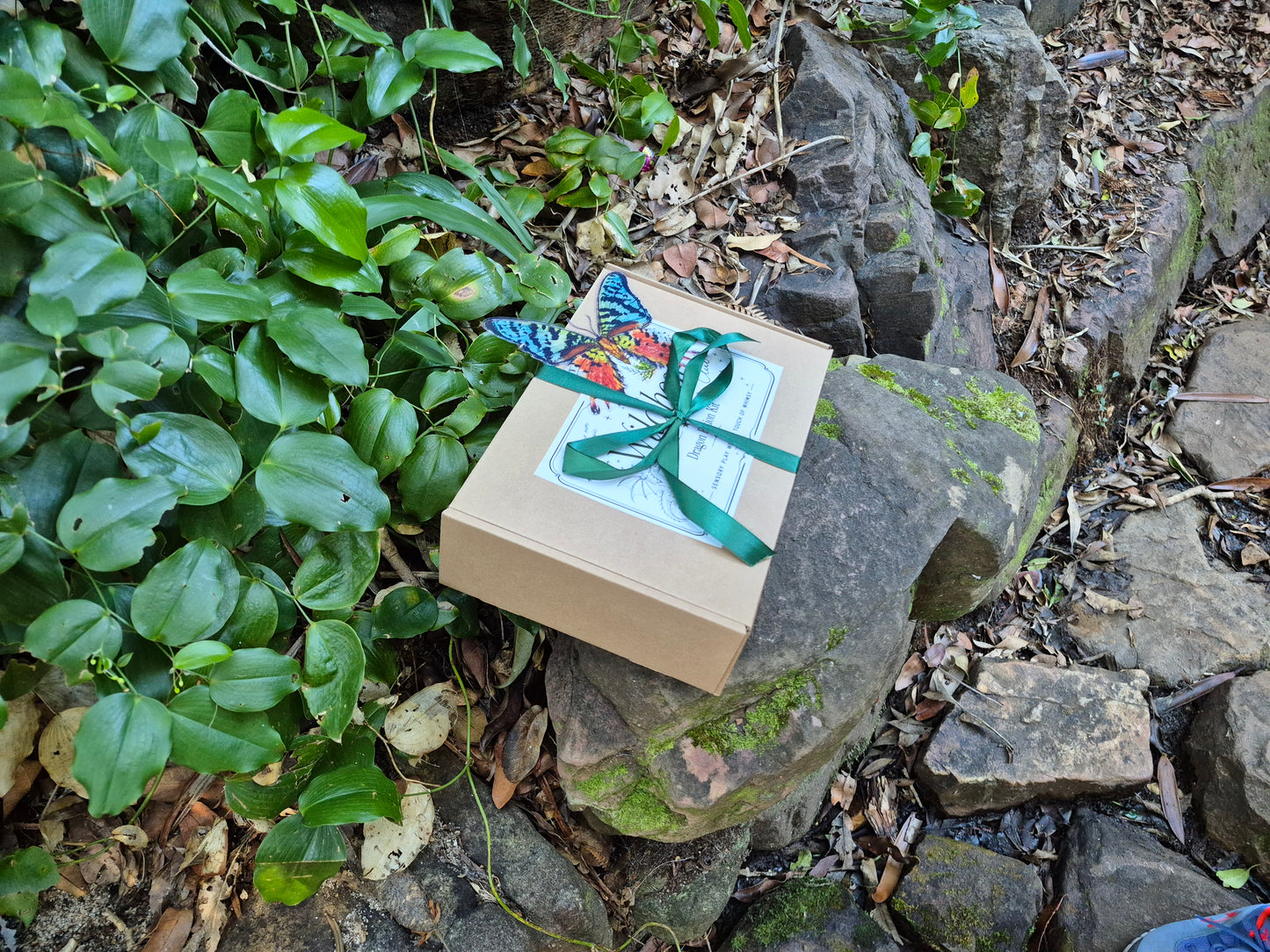 Dragon Potion Kit